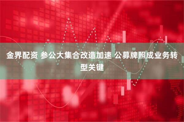 金界配资 参公大集合改造加速 公募牌照成业务转型关键