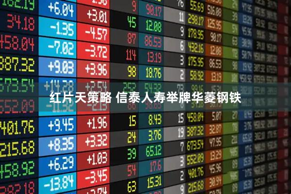 红片天策略 信泰人寿举牌华菱钢铁