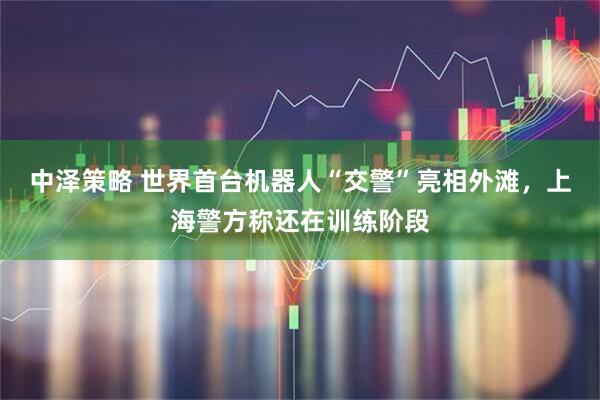 中泽策略 世界首台机器人“交警”亮相外滩，上海警方称还在训练阶段