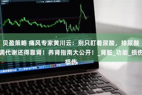 贝盈策略 痛风专家黄川云：别只盯着尿酸，排尿酸调代谢还得靠肾！养肾指南大公开！_肾脏_功能_损伤