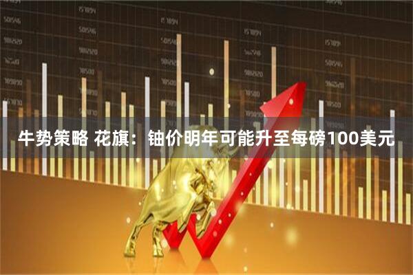牛势策略 花旗：铀价明年可能升至每磅100美元