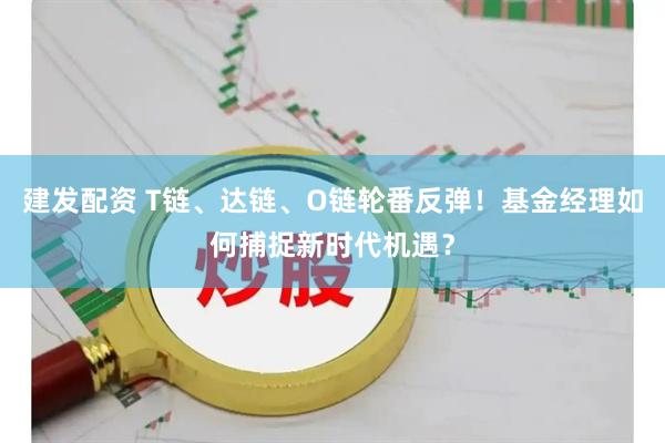 建发配资 T链、达链、O链轮番反弹！基金经理如何捕捉新时代机遇？